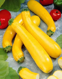Courgette Parador F1 Obt Gautier Fruits Et Legumes Idee Legume Tout Pour Le Jardin
