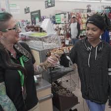 Maybe you would like to learn more about one of these? Pet Supplies Plus Sarasota East Fl 5380 Fruitville Rd Sarasota Fl Pet Shops Mapquest