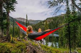 Free firewood assistance programs for low income families. Where Is The Best Free Camping Spot In Queensland Brisbane