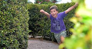 Join friends & family in this time honored tradition. Hedge Your Bets With Bellingham Maze Sunshine Coast Daily