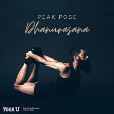 Peak Pose Dhanurasana In 2020 Poses Yoga Education Basic Yoga