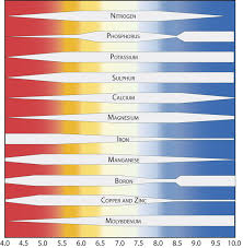 How Can I Adjust Ph To Study Soil Nutrient Availability On