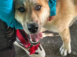 Looking for recommendations