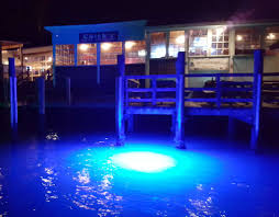 24 000 Lumen Led Dock Lights Easy Plug In And Toss In Veteran Owne