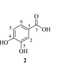 Image result for Alectra sessiliflora