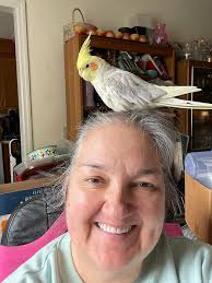 Lost Cockatiel in Northeast Columbia, SC, Near Clemson Road