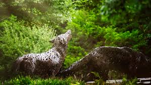 Poole College Announces Spring 2020 Dean's List Recipients