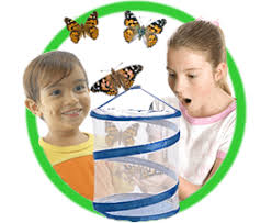 Send gift cards to your friends and family for fast, easy, reliable lyft rides, wherever they're headed. Nature Gift Store Gifts For Nature Lovers Nature Themed Kits For Kids