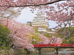 You will checkout from your osaka hotel & will be transferred to airport for your flight back india with wonderful memories of your japan trip. 20 Of The Most Beautiful Places In Japan Time Out Tokyo