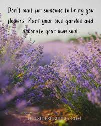 Check spelling or type a new query. Beautiful Spring Quotes Flower Captions Outside Suburbia Travel