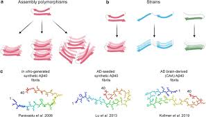 • aducanumab, is an investigational medicine and the benefit/risk profile has not been fully established. The Existence Of Ab Strains And Their Potential For Driving Phenotypic Heterogeneity In Alzheimer S Disease Springerlink