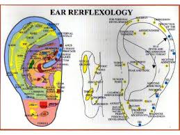 71 organized ear reflexology chart download