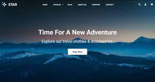Download this shopify theme right now and feel the benefits of online trade best shopify designs can offer! Top 10 Free Shopify Themes For Ecommerce Sites Developer Drive