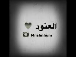 شعر بي اسم العنود Youtube