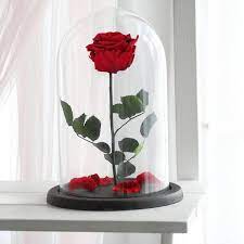 Only 2 available and it's in 8 people's basket. Beauty And The Beast Rose Enchanted Rose Rose In Glass Dome Etsy Enchanted Rose Forever Rose Beautiful Roses
