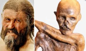 Anthropologist donates body to Smithsonian with dog