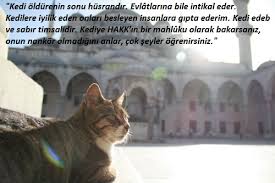 Muezza Volkan Durmaz