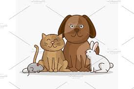We are a specialty animal company hand raising quality pets insuring only the best for the animals. Group Animals Pet Shop Pet Shop Animals Pets