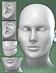 Dawn's Head Shapes 3D Figure Assets HiveWire3D