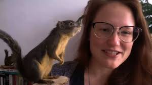 Show & Tell With the Staff of Chicago’s Field Museum
