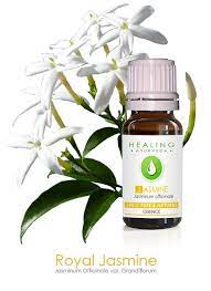 Jasmine Oil 100 Pure Essential Oil Jasmine Essential Oil Etsy Jasmine Essential Oil Jasmine Oil 100 Pure Essential Oils