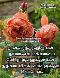 Pin By Amutha On Tamil Bible Verse Bible Words Bible Promises Bible Quotes