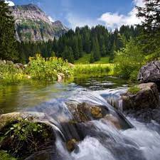 Hier kann man im gasthaus passhöhe nochmals einkehren bevor es los geht. Naturerlebnispark Schwagalp Santis