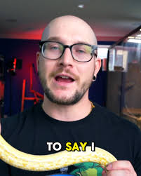 Wickens Wicked Reptiles