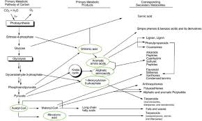 We did not find results for: An Introductory Chapter Secondary Metabolites Intechopen