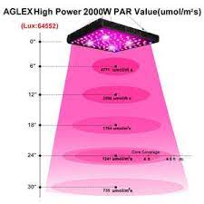 I think this is a pretty safe distance. Aglex Cob Led Grow Light Review 600w 1200w 2000w 3000w Grow Light Info