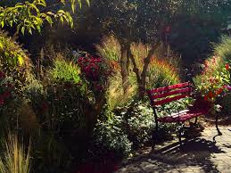 Direkt zum gewünschten jahr springen Offene Garten Staudenfreunde