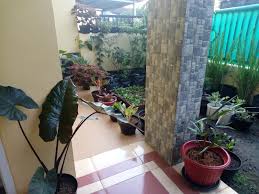 Kita bisa bercocok tanam bunga, buah maupun sayuran. Rudyarra Urban Farming Bercocok Tanam Di Halaman Rumah