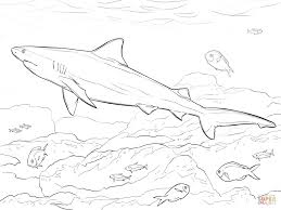 Webopedia is an online dictionary and internet search engine for information technology and computing def. 20 Free Printable Shark Coloring Pages Everfreecoloring Com