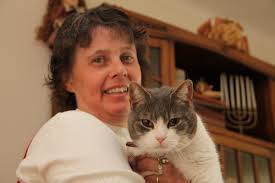 Kat beschoten met luchtbuks in Alblasserdam