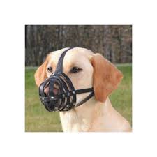 Il existe des muselières pour chevaux mais elles sont plus courantes sur les chiens. Trixie Museliere Julius K9 Buffalo Skin L Xl Black For Dogs Buy At A Low Prices On Joom E Commerce Platform