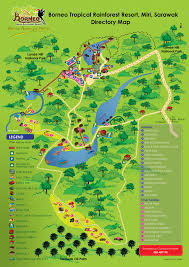 The tropical rainforest is a wondrous part of our world. Visit Sarawak