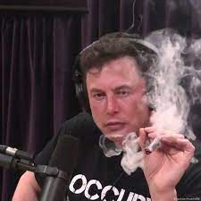 Tesla shares drop after Musk smokes weed – DW – 09/07/2018