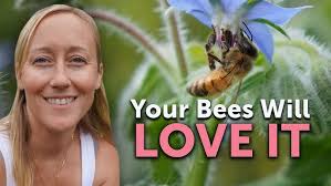 Beekeeping! (And Making Honey Products)