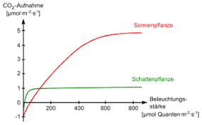 Hello, i currently have a rectangle hood around a 600w hps going in my 4x4 flower also what are your guidelines regarding timing and spacing the far reds for emerson effect and flower. Photosynthetisch Aktive Strahlung Wikipedia