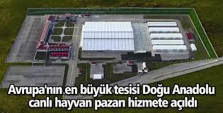 Avrupa Nin En Buyuk Tesisi Dogu Anadolu Canli Hayvan Pazari Hizmete Acildi