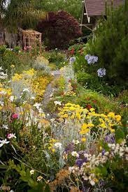 pantious bianca on twitter in 2021 cottage garden design english cottage garden cottage garden