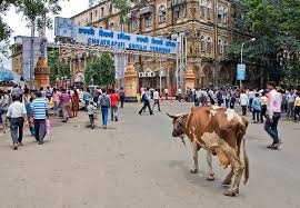 Mumbai, India – the good and the bad ...