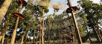 How to play my forest adventures. Map Of The Course Forest Adventure Singapore S First And Only Treetop Obstacle Course