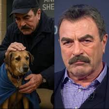 NADIE TE DIJO QUE LO LEYERAS! AHORA DA GRACIAS A DIOS POR UN DÍA MÁS DE  VIDA. AMÉN. PG