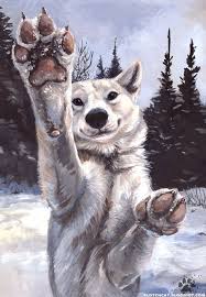 Pin By Himanshu Dawar On Furry Art Pg Furry Art Animal Drawings Dog Art