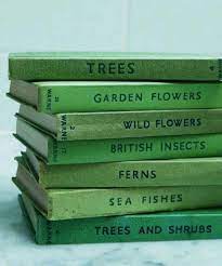 Photographic technology and styles advance over time, so depending on the era of. Color Mood Green Greenempire Inspiration Vert Passionvert Green Aesthetic Slytherin Aesthetic Aesthetic Colors