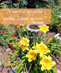 Give me my flowers quote. Inspirational Flower Quotes Motivational Sayings With Photos Of Flowers