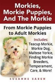Similarly, a mini morkie poo can have a height of up to 12 inches (31cm). Ebook Morkies Morkie Puppies And The Morkie Von Susanne Saben Isbn 978 1 911355 50 2 Sofort Download Kaufen Lehmanns De