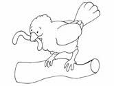 Pictures with chickens fascinate adults and children. Chick Coloring Pages