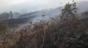 Lokasinya di desa setianegara, kecamatan cilimus. Kebakaran Hutan Di Lereng Gunung Ciremai Meluas Hingga 100 Hektare Bagian 1